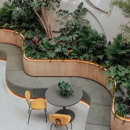 Curved timber planter joinery with built-in seating in a commercial space, part of an architectural fit-out by 10X Joinery, Sydney.